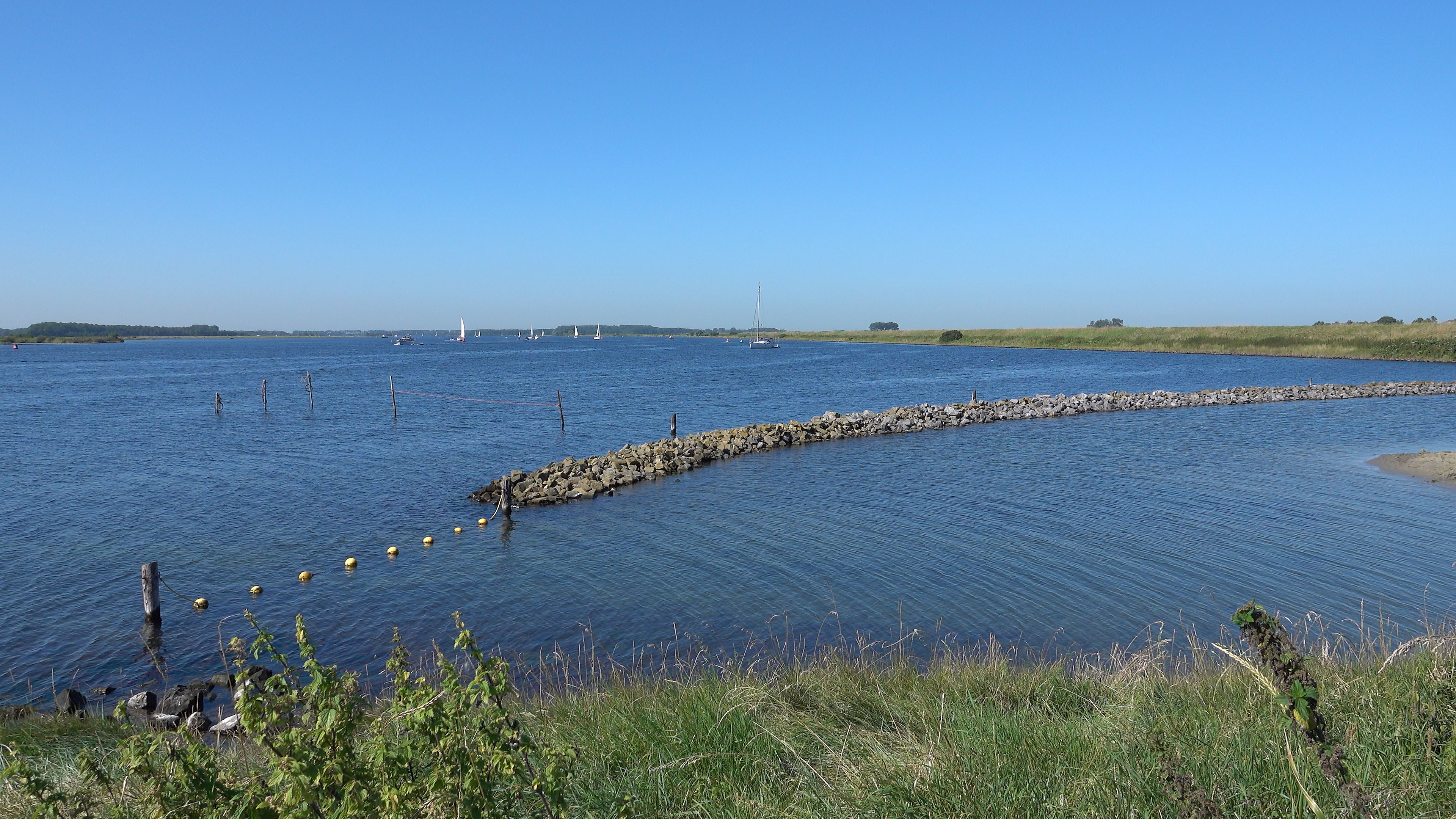 001 2024-08-12 Geersdijk-Haven met Frank-130066